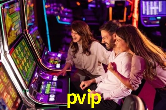 Interface Premium pvip