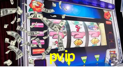 pvip,pvip.com